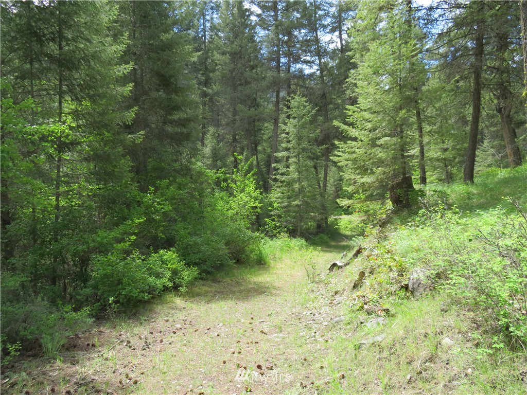 -tbd Toroda Creek Road Curlew, WA 99118 - Photo 4 of 17 Gallery Image 4