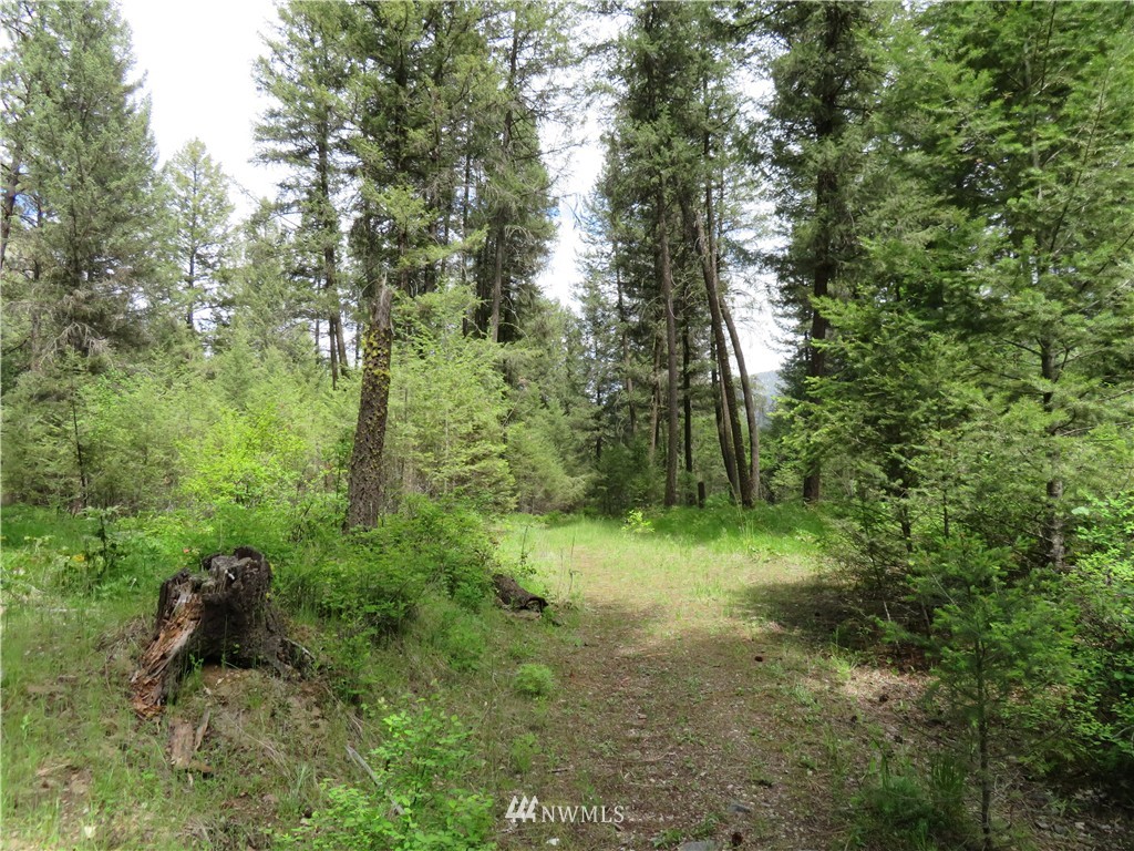 -tbd Toroda Creek Road Curlew, WA 99118 - Photo 5 of 17 Gallery Image 5
