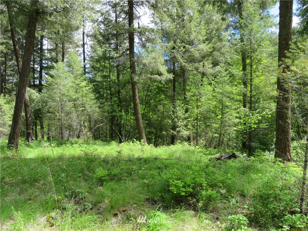 -tbd Toroda Creek Road Curlew, WA 99118 - Photo 6 of 17 Gallery Image 6