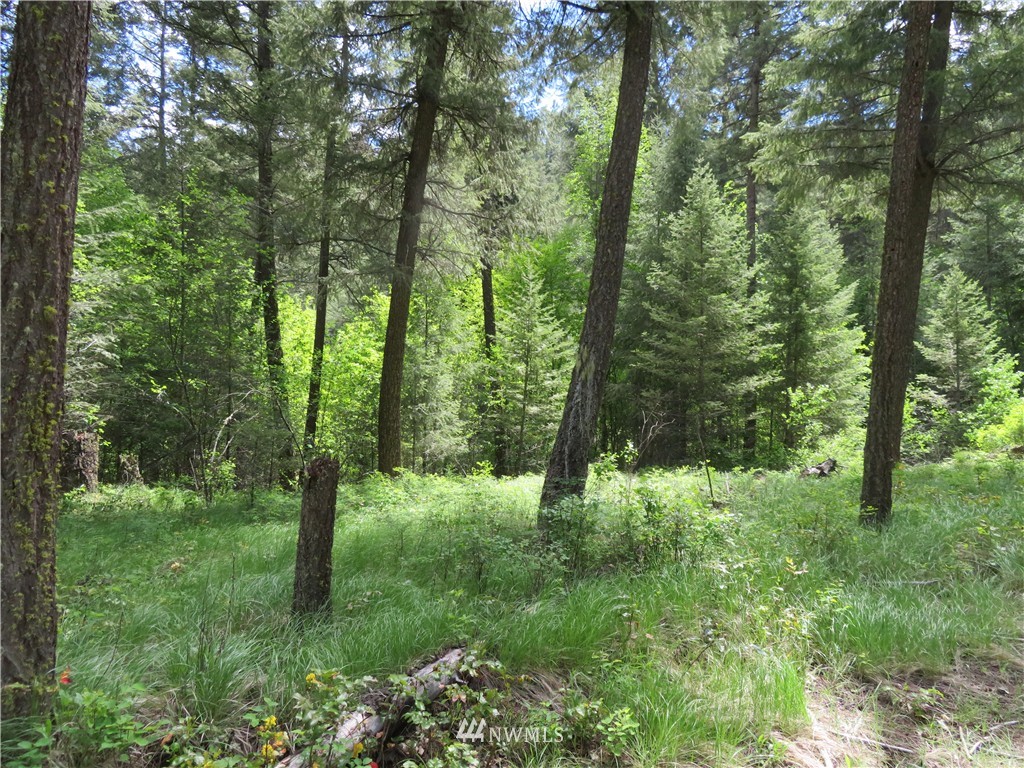 -tbd Toroda Creek Road Curlew, WA 99118 - Photo 7 of 17 Gallery Image 7