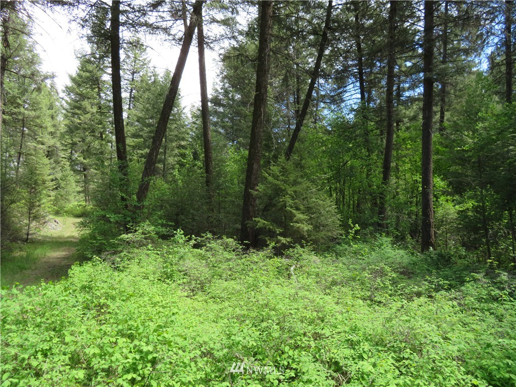 -tbd Toroda Creek Road Curlew, WA 99118 - Photo 8 of 17 Gallery Image 8