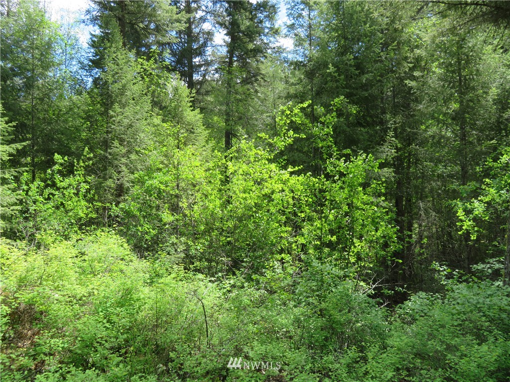 -tbd Toroda Creek Road Curlew, WA 99118 - Photo 10 of 17 Gallery Image 10