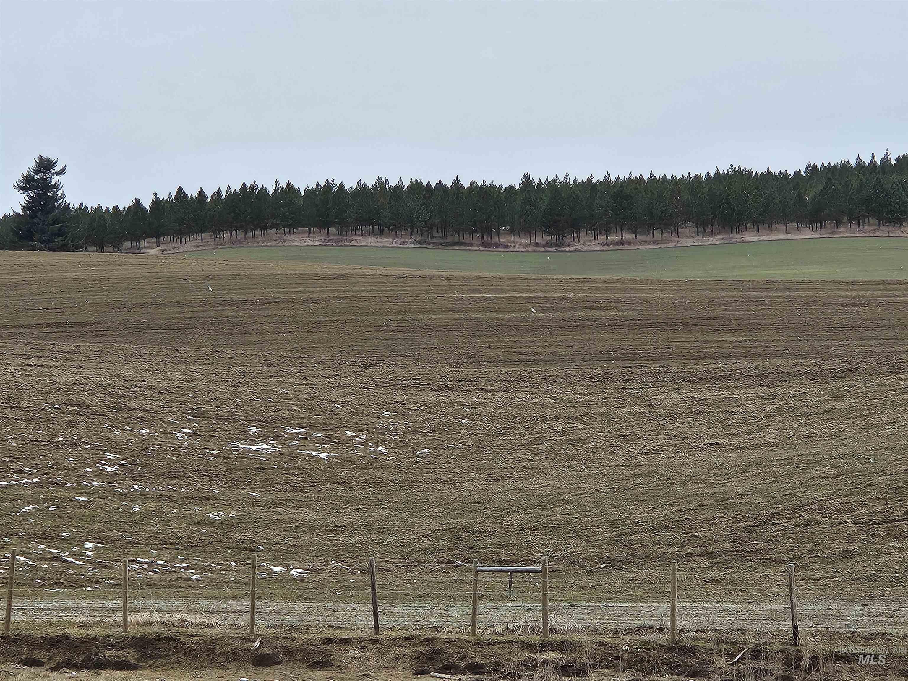 Tbd Tbd Reubens Gifford Road Culdesac, ID 83524 - Photo 1 of 1 Gallery Image 1