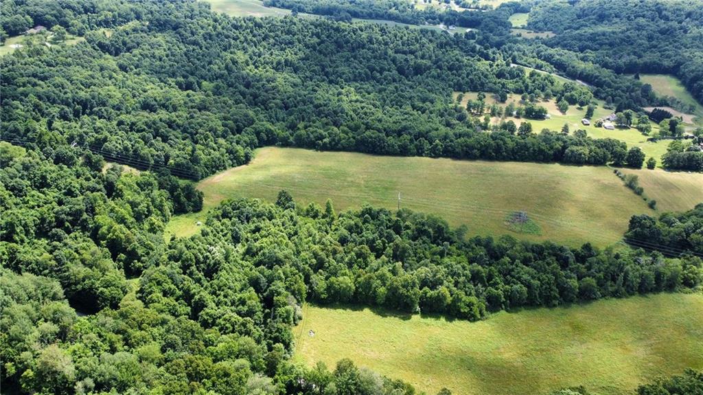 0 Borovick Road Sligo, PA 16255 - Photo 4 of 11 a view of a lake with a yard