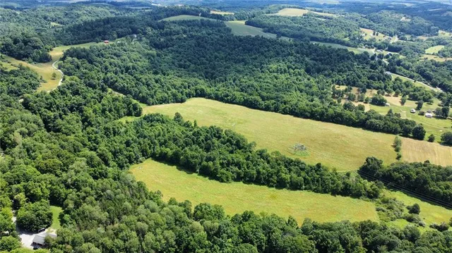 a view of a garden with a building