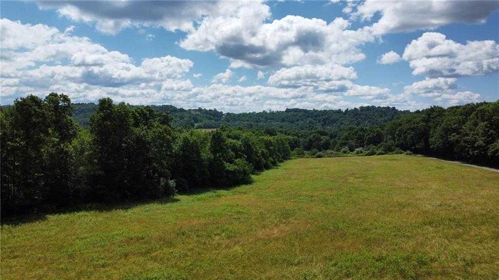 0 Borovick Road Sligo, PA 16255 - Photo 8 of 11 a view of a yard