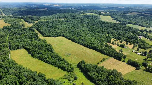 a view of a forest with a lake