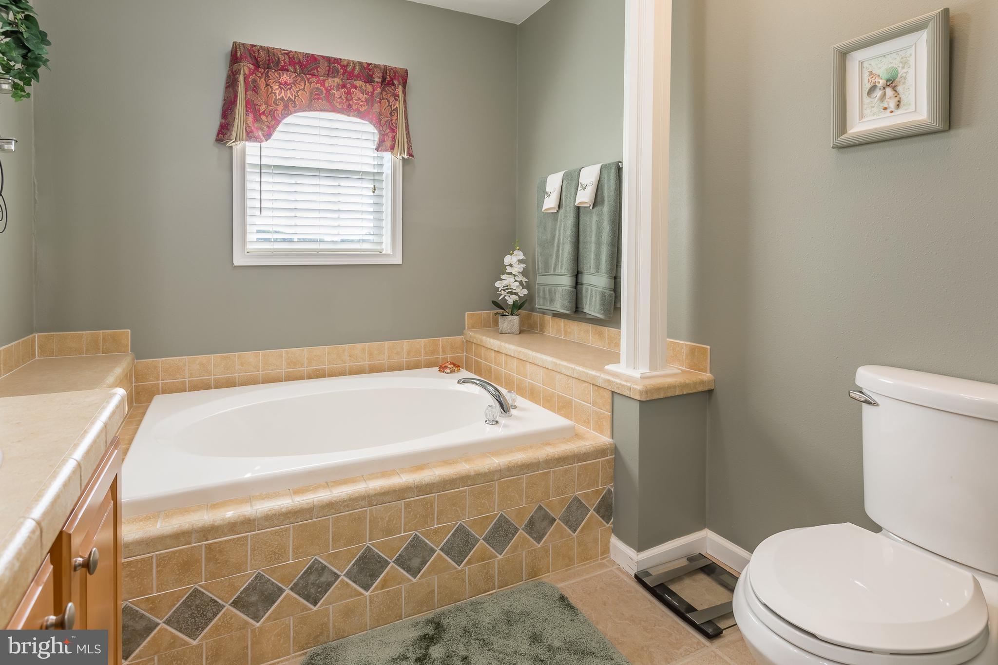 20405 Bucks Branch Road Bridgeville, DE 19933 - Photo 24 of 56 MAIN BEDROOM 4 PIECE BATHROOM