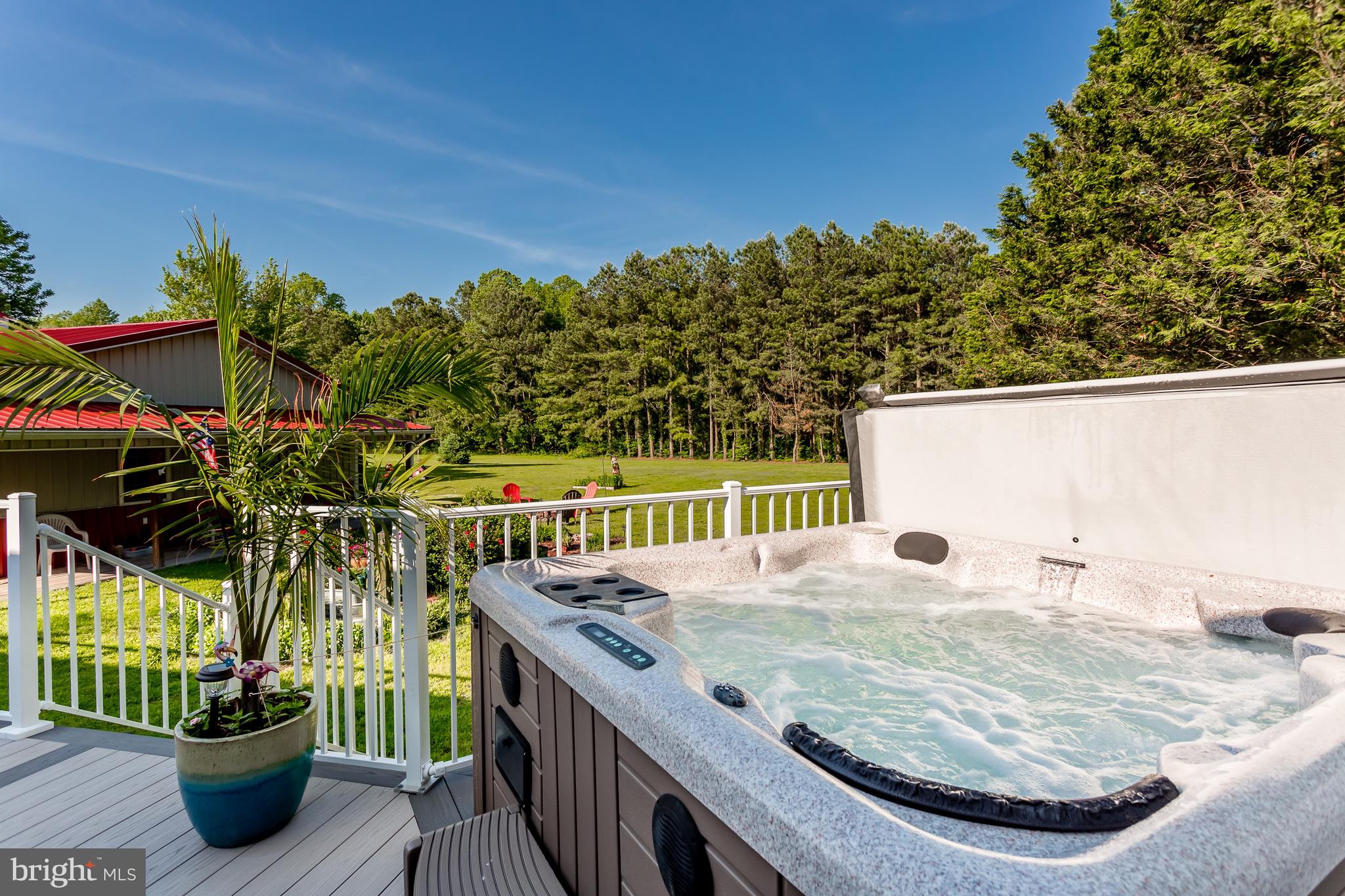20405 Bucks Branch Road Bridgeville, DE 19933 - Photo 36 of 56 HOT TUB AND VIEW OF BACK YARD
