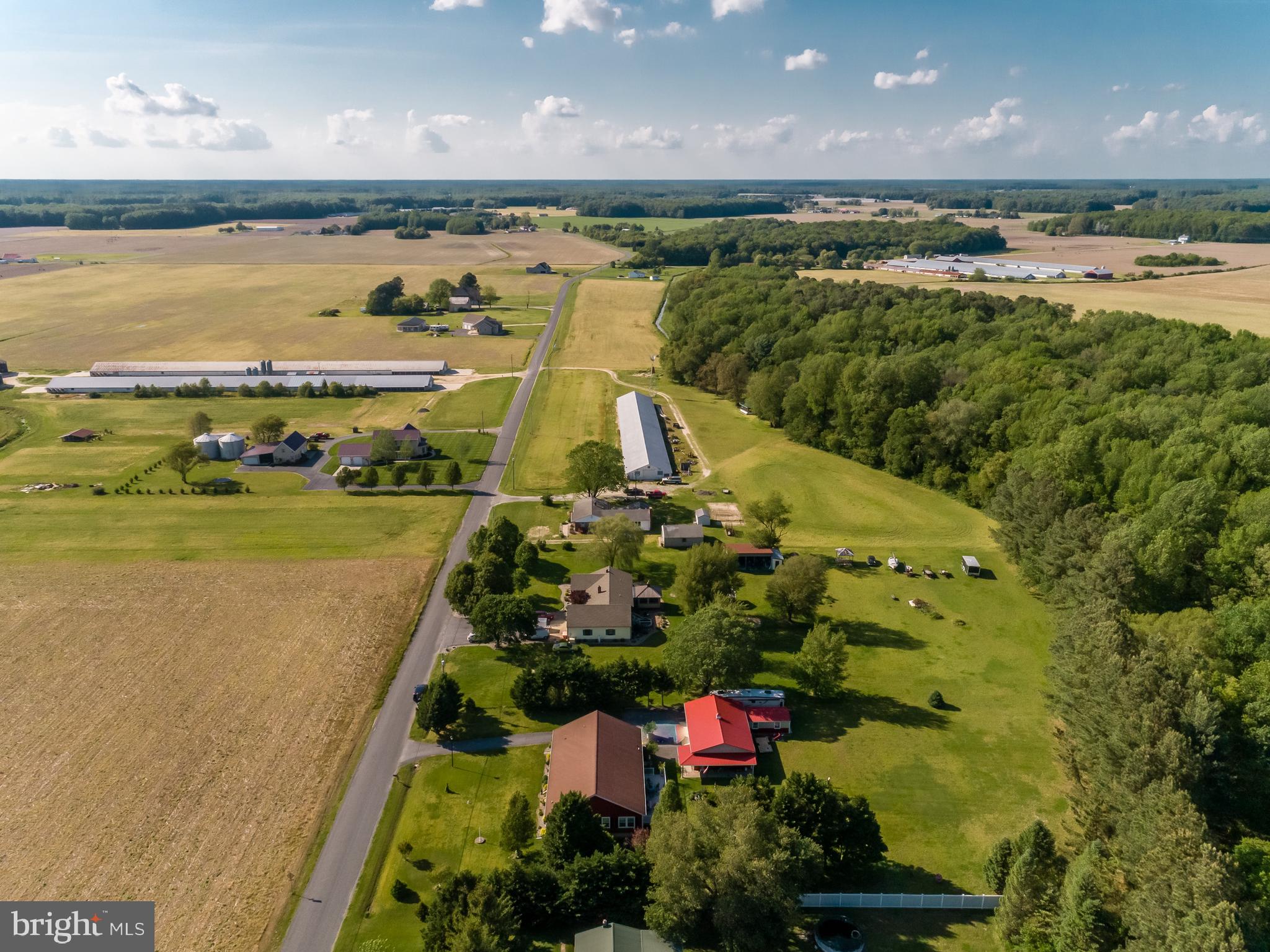 20405 Bucks Branch Road Bridgeville, DE 19933 - Photo 50 of 56 AERIAL VIEW