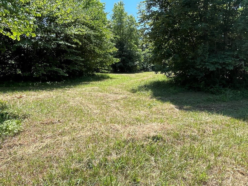 0 Heidi June Way Newport, TN 37821 - Photo 6 of 30