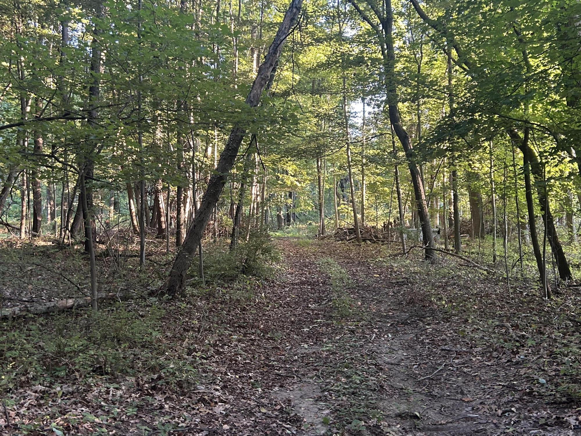 11500 Goose Lake Road Jonesville, MI 49250 - Photo 11 of 12 IMG_5421