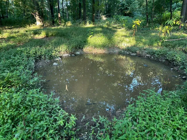 $184,900 | 11500 Goose Lake Road, Jonesville, MI 49250