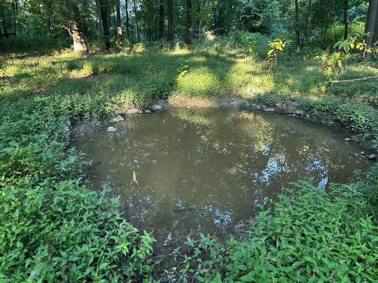 11500 Goose Lake Road Jonesville, MI 49250 - Photo 12 of 12 IMG_5451