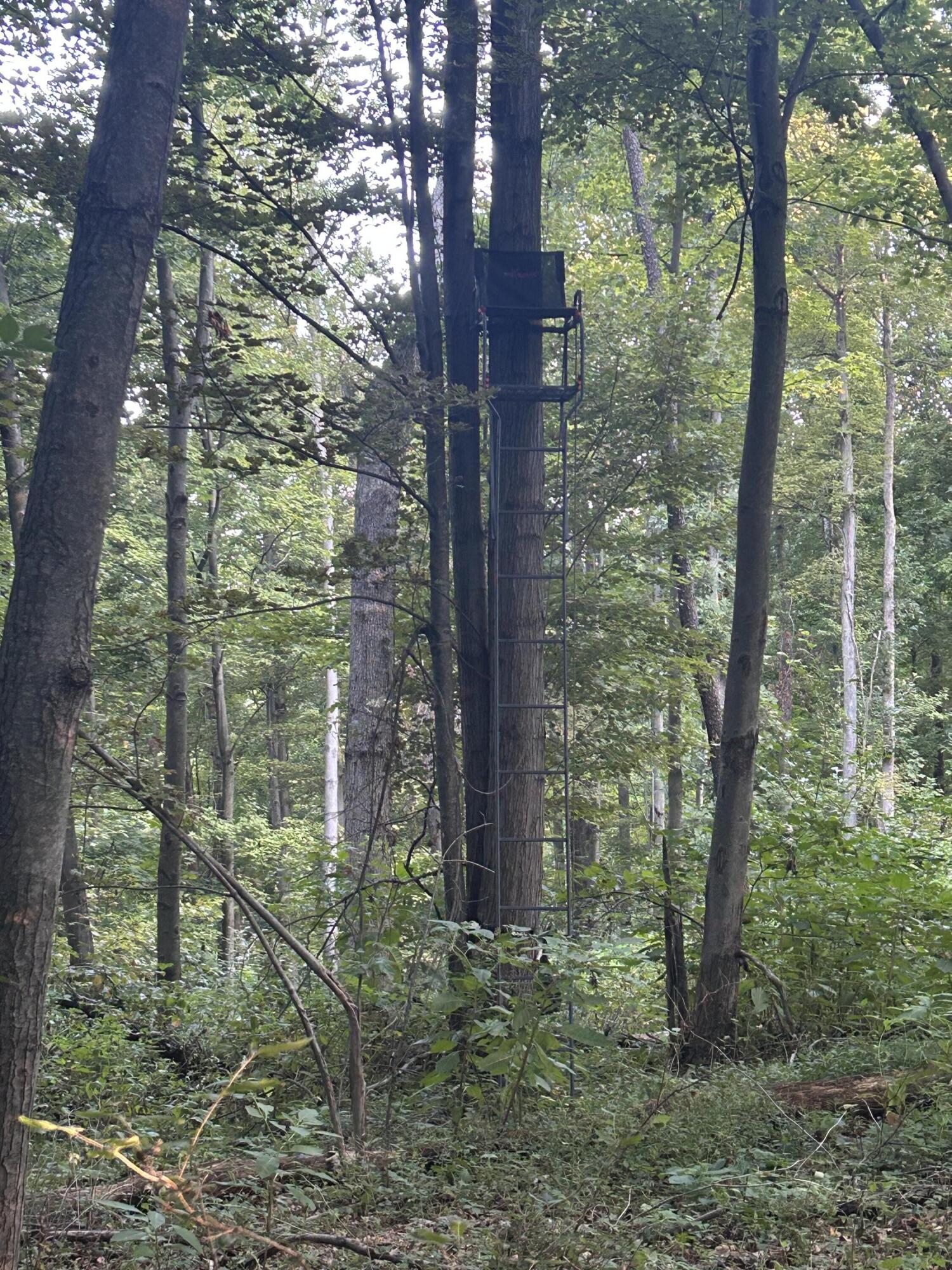 11500 Goose Lake Road Jonesville, MI 49250 - Photo 3 of 12 IMG_5431