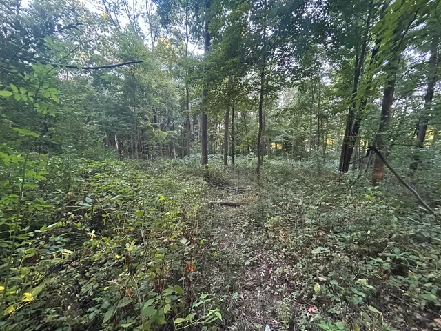 $184,900 | 11500 Goose Lake Road, Jonesville, MI 49250