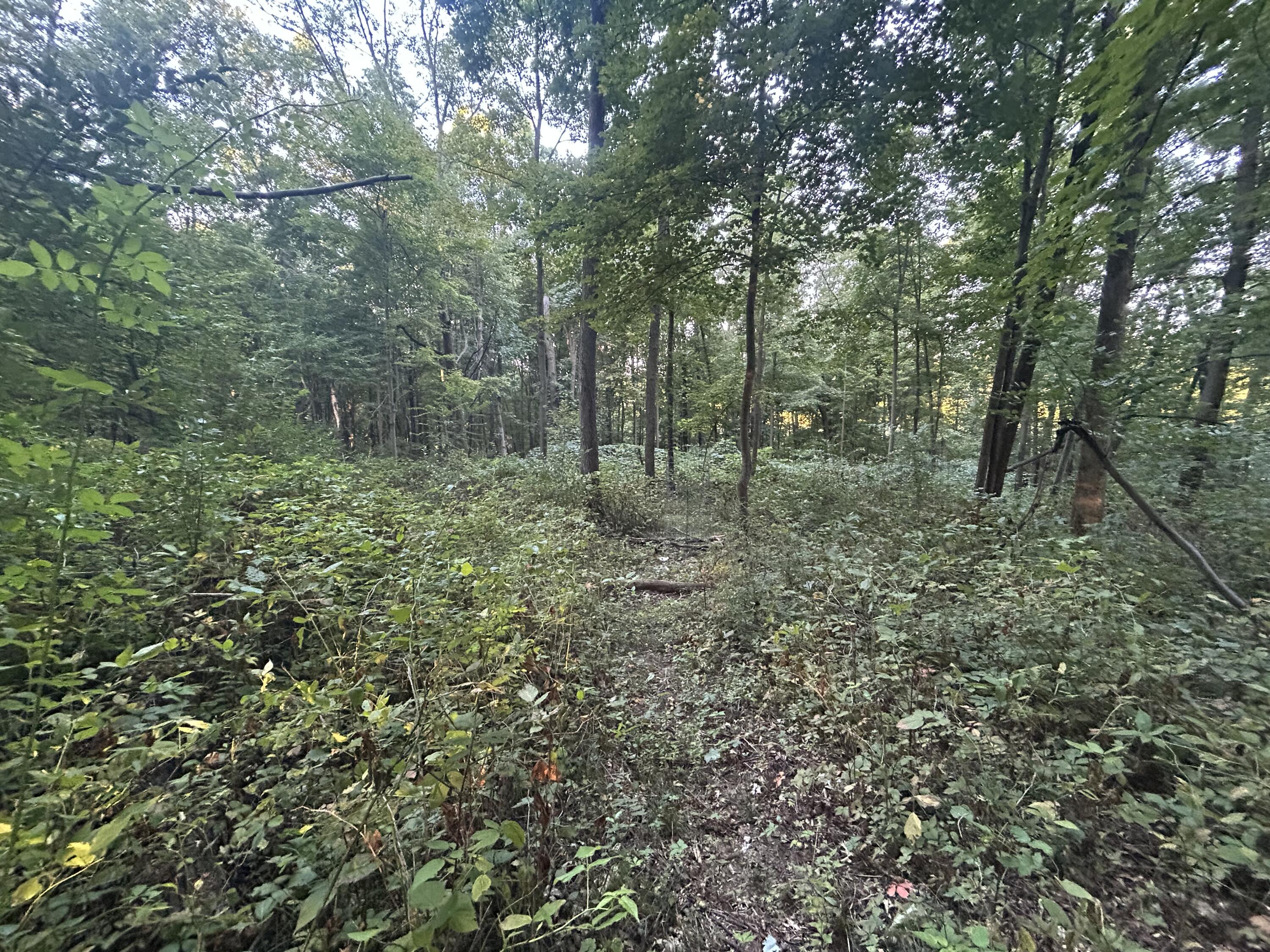 11500 Goose Lake Road Jonesville, MI 49250 - Photo 4 of 12 IMG_5429