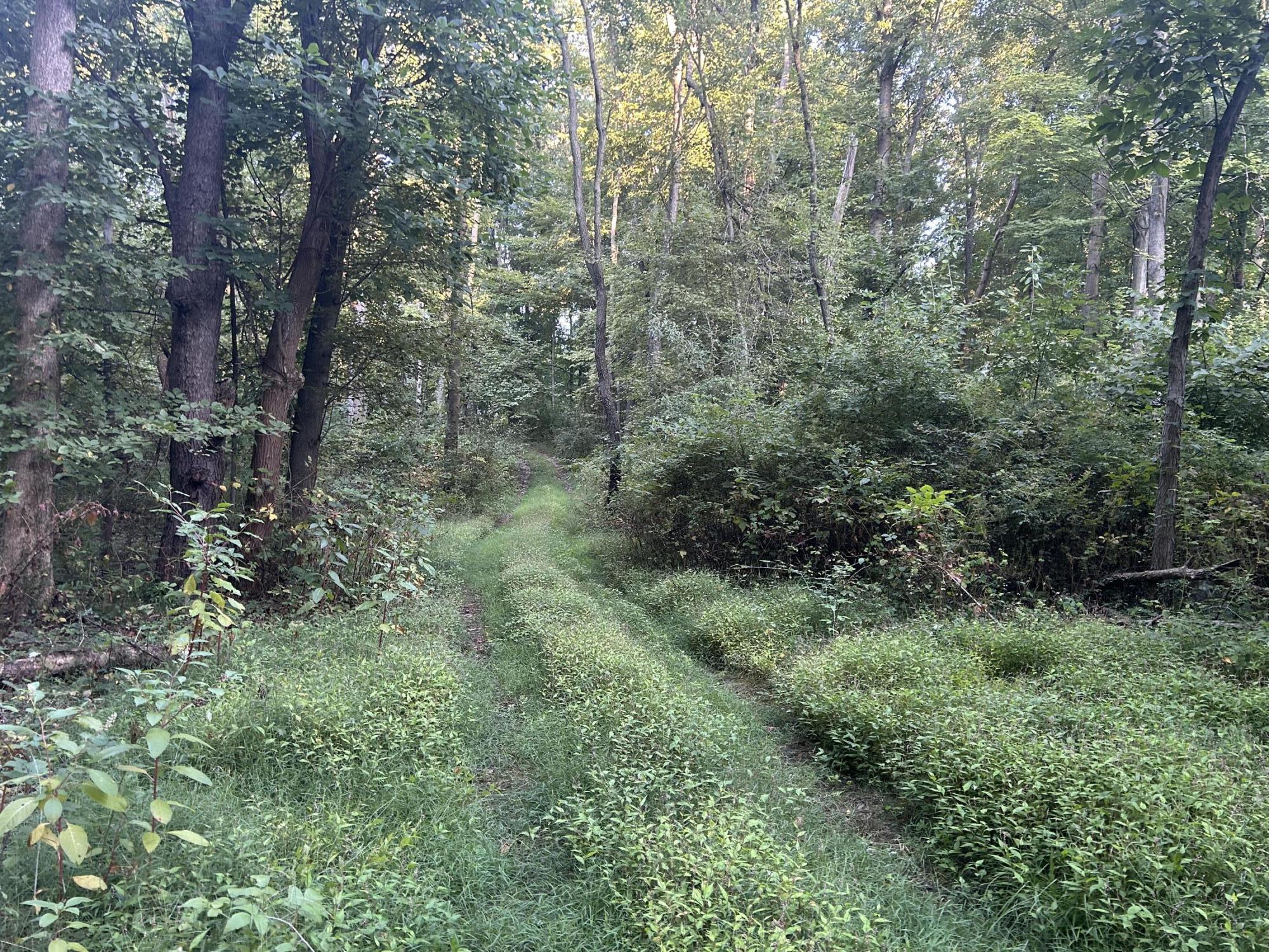 11500 Goose Lake Road Jonesville, MI 49250 - Photo 5 of 12 IMG_5424