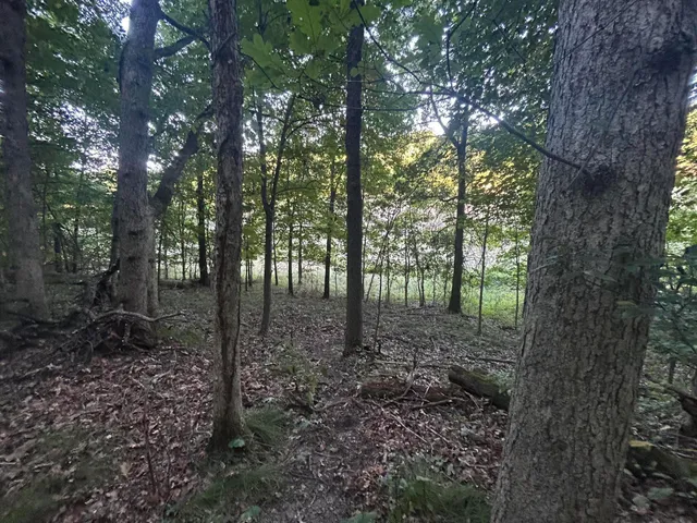 $184,900 | 11500 Goose Lake Road, Jonesville, MI 49250