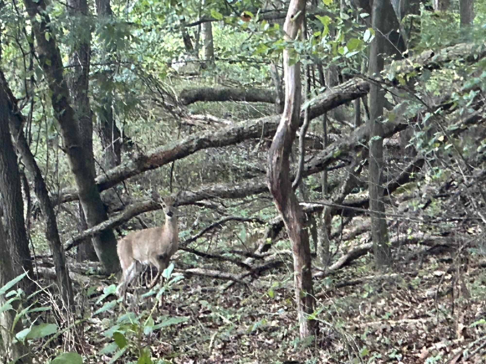 11500 Goose Lake Road Jonesville, MI 49250 - Photo 8 of 12 IMG_5443
