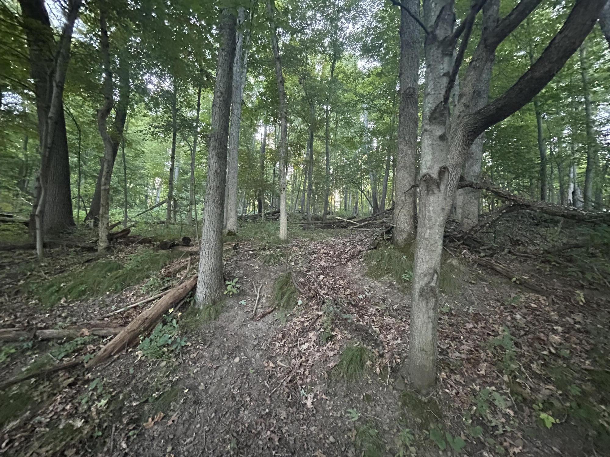 11500 Goose Lake Road Jonesville, MI 49250 - Photo 9 of 12 IMG_5441