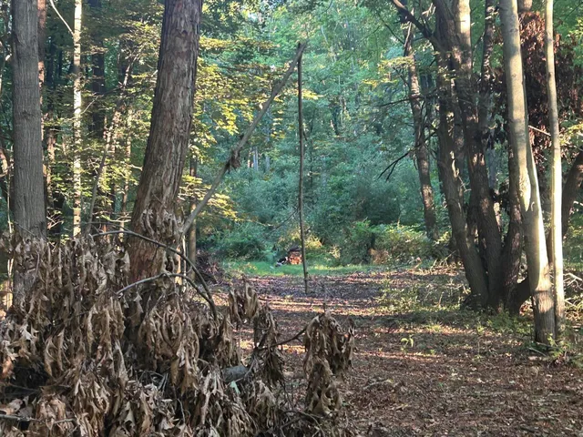 $184,900 | 11500 Goose Lake Road, Jonesville, MI 49250