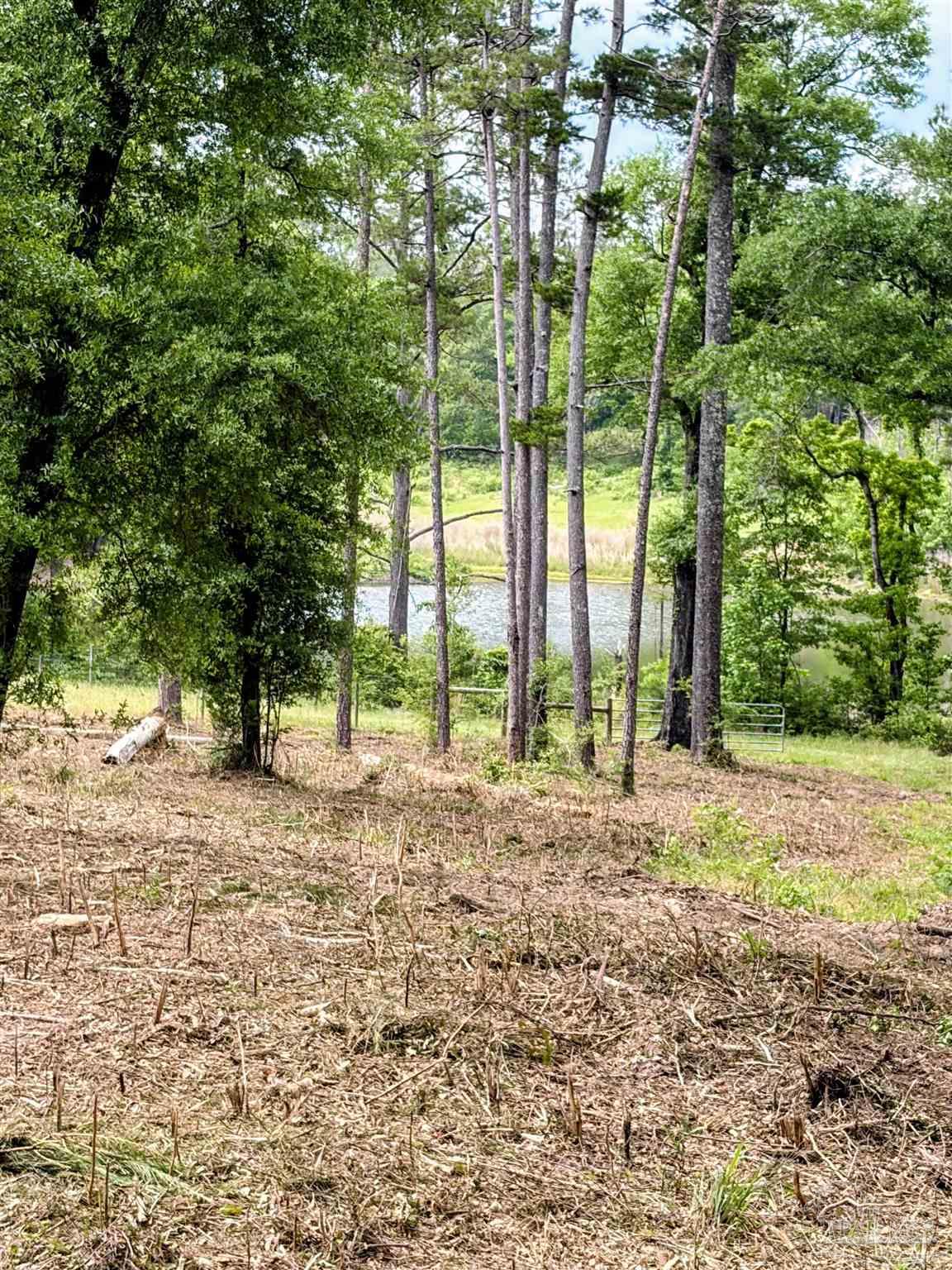 9023 County Road Millry, AL 36558 - Photo 14 of 72