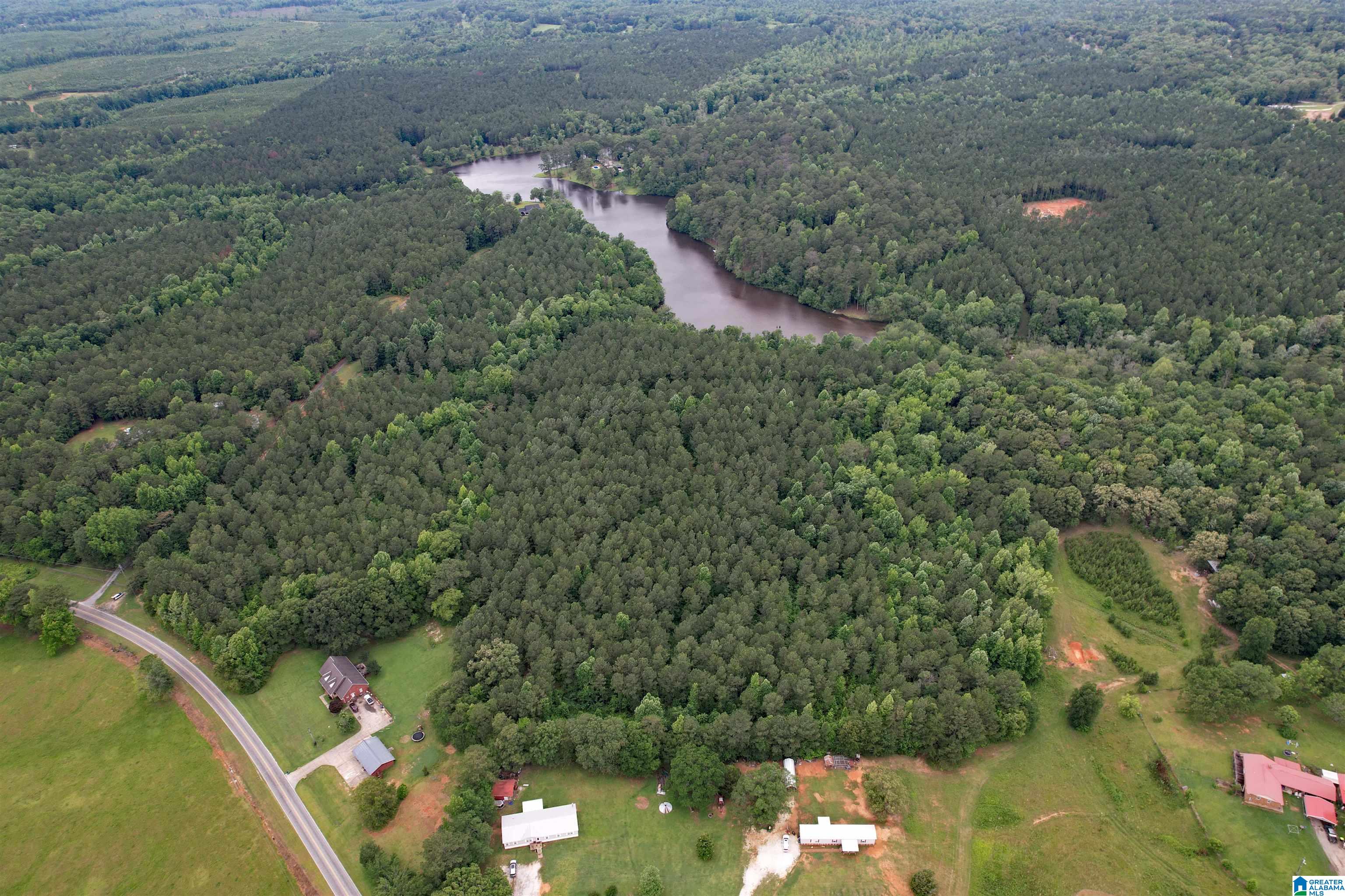0 Houston Road Sylacauga, AL 35151 - Photo 9 of 32
