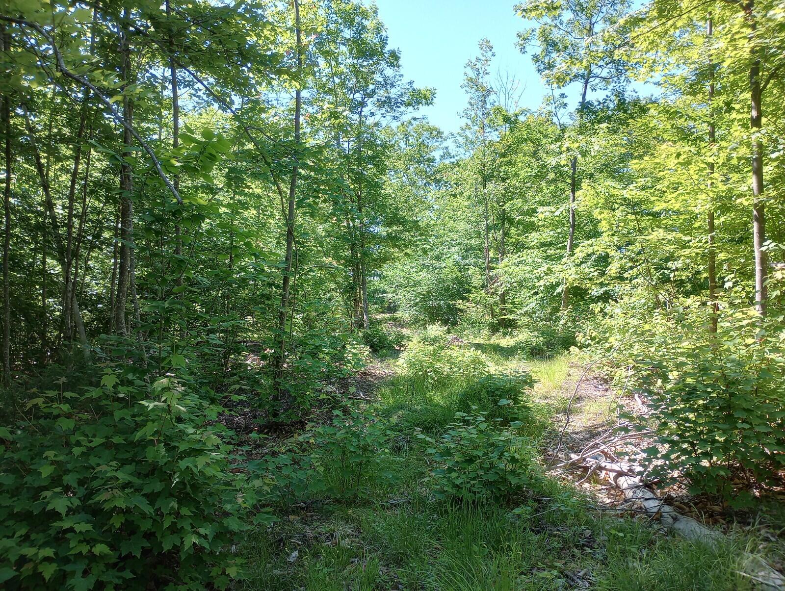 Tbd Tbd North Road Limington, ME 04049 - Photo 7 of 13 8