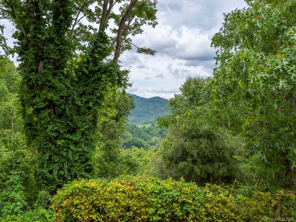 847 Fox Run Road Waynesville, NC 28785 - Photo 3 of 20 Gallery Image 3