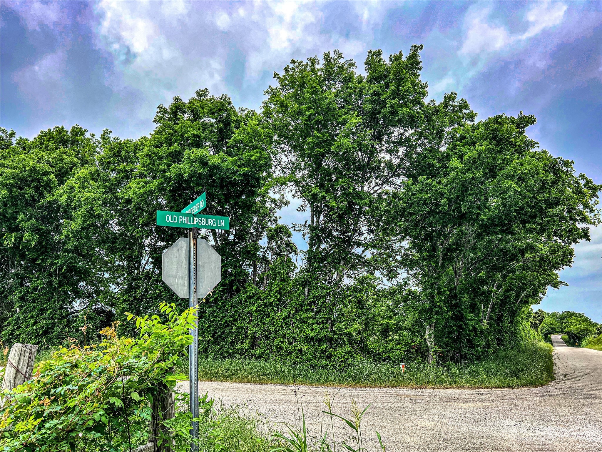 3 Old Phillipsburg Road Brenham, TX 77833 - Photo 4 of 5 a view of a backyard