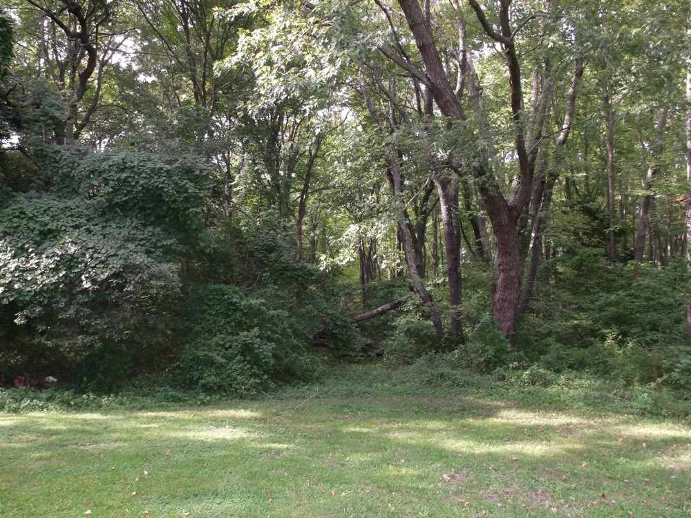 764 Seashore Road Cape May, NJ 08204 - Photo 1 of 1