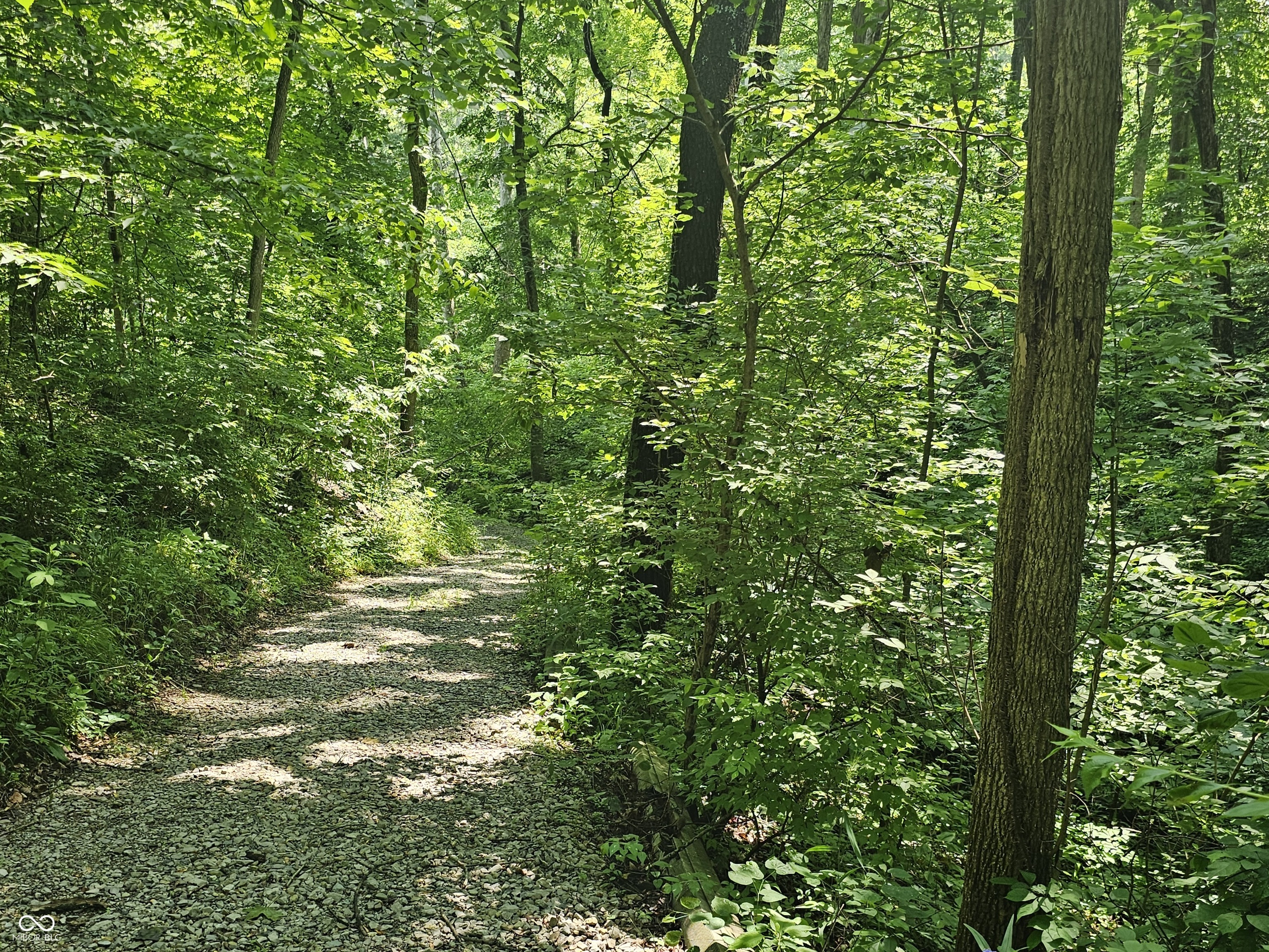 1317 Ebert Drive Rockville, IN 47872 - Photo 6 of 59