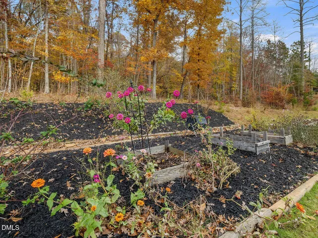 a view of a swimming pool with a lounge chairs