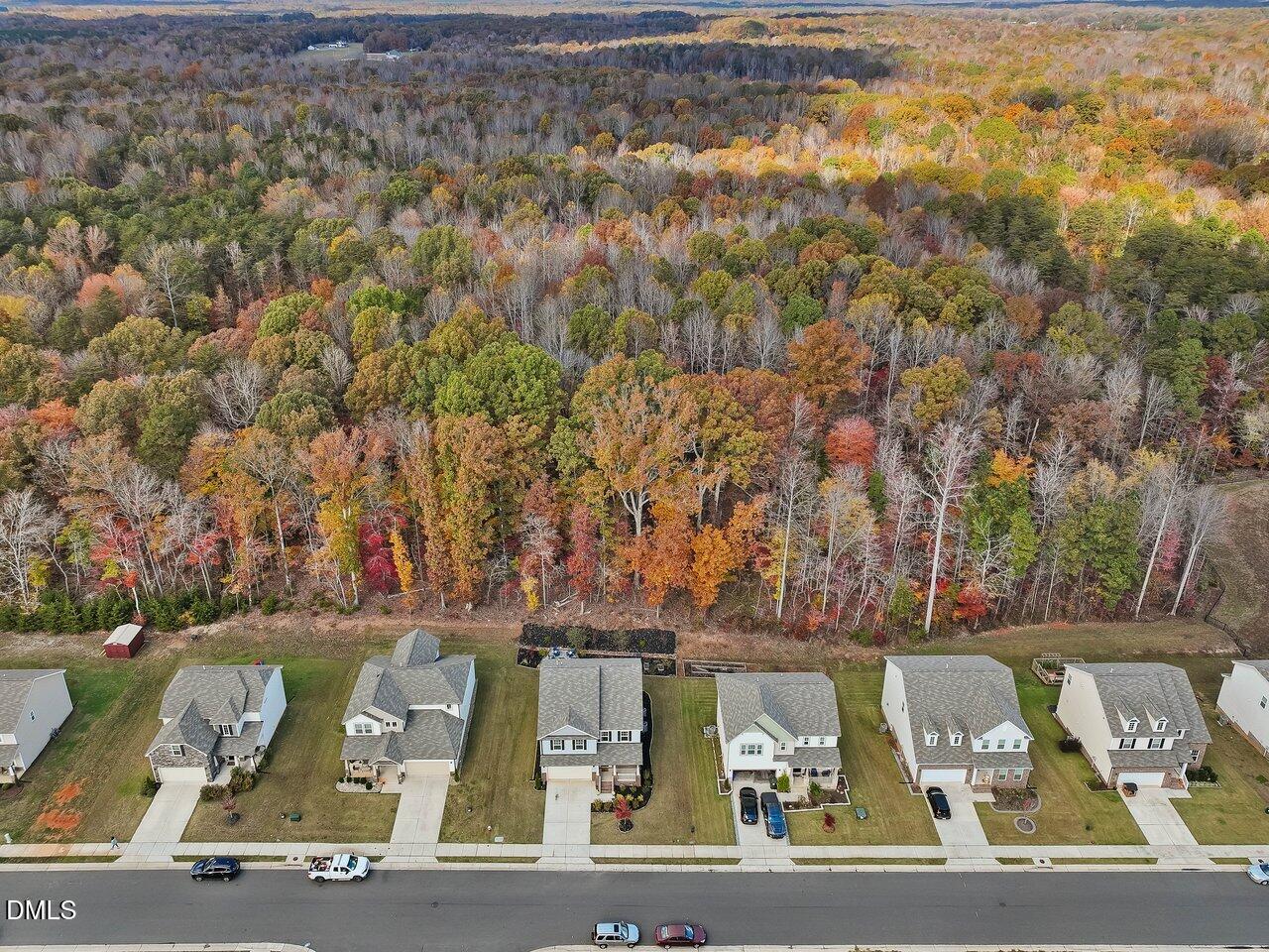 718 Heartpine Drive Mebane, NC 27302 - Photo 54 of 62 an aerial view of a house with a mountain