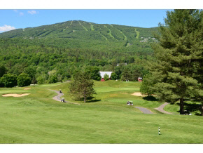 6610 Tyson Road Reading, VT 05062 - Photo 19 of 20