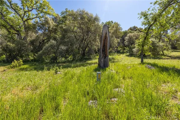 $749,000 | 3703 Sherrod Road, Mariposa, CA 95338