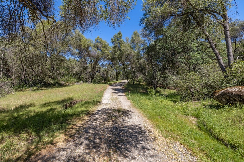 3703 Sherrod Road Mariposa, CA 95338 - Photo 61 of 66