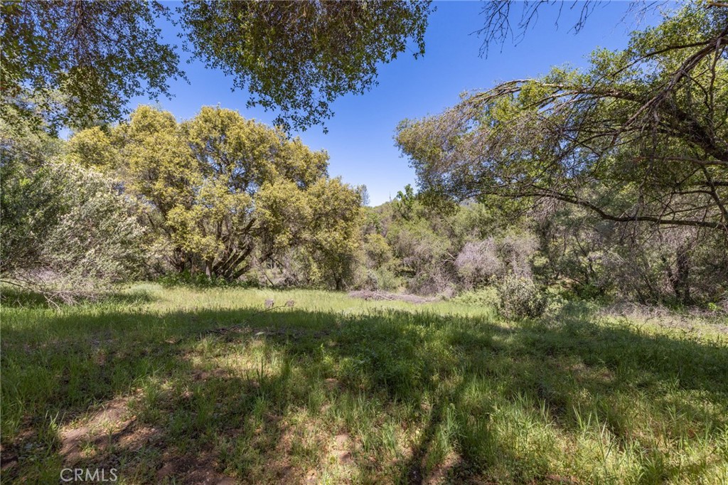 3703 Sherrod Road Mariposa, CA 95338 - Photo 63 of 66