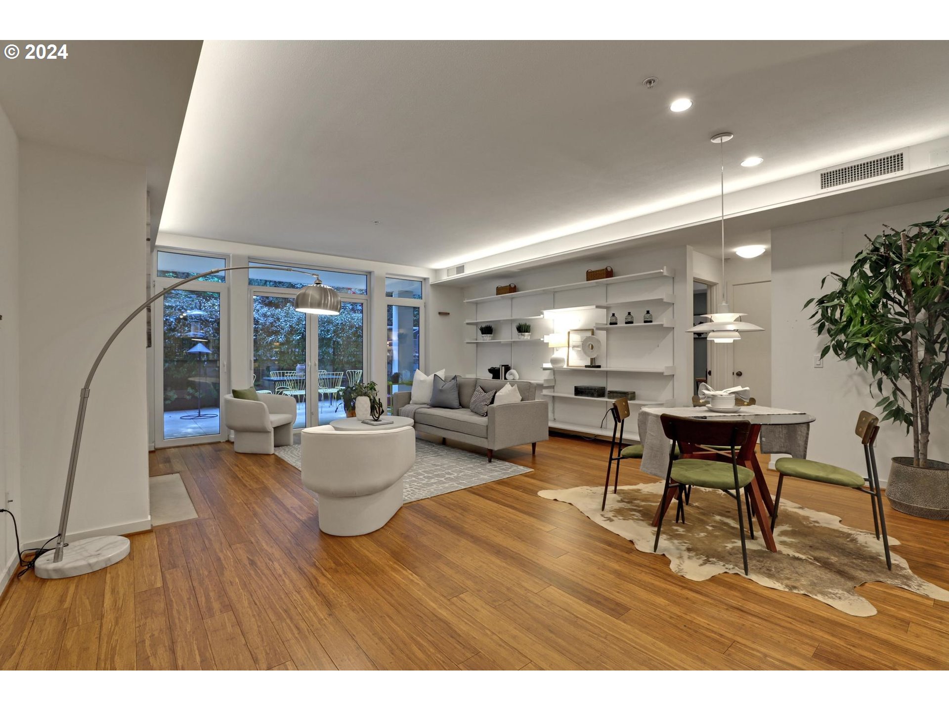 Living Room/Entrance