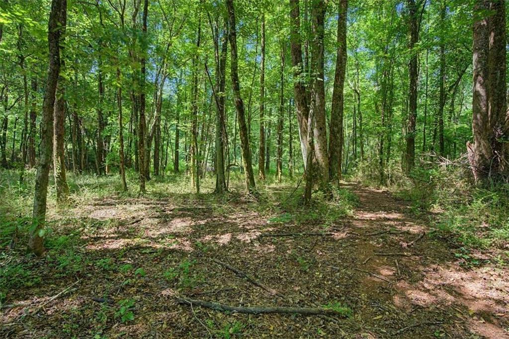1381 Star Point Road Carrollton, GA 30116 - Photo 50 of 50 Gallery Image 50