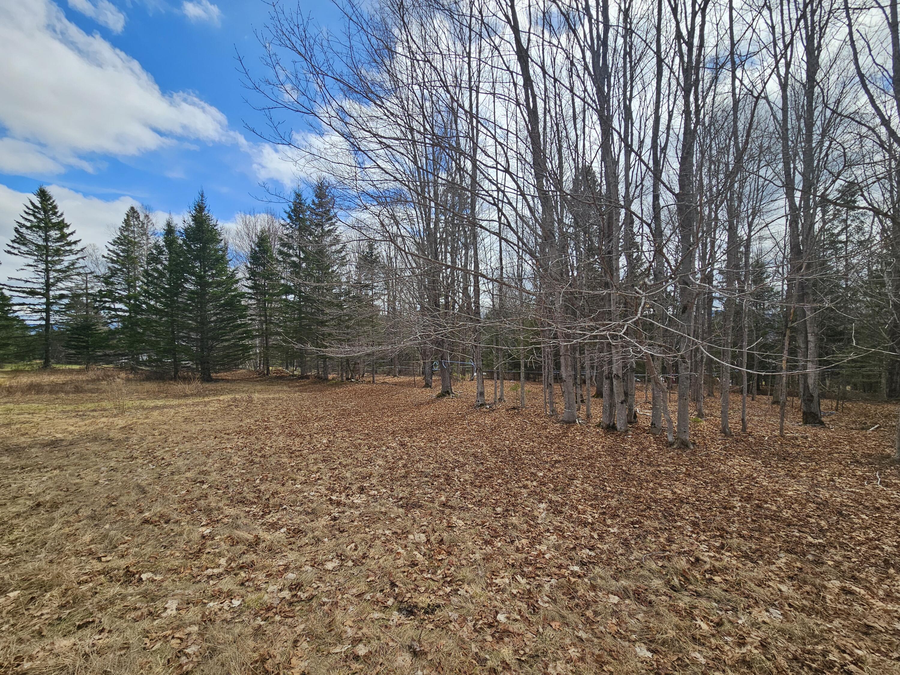 Lot 9 Amber Road Rangeley, ME 04970 - Photo 5 of 8