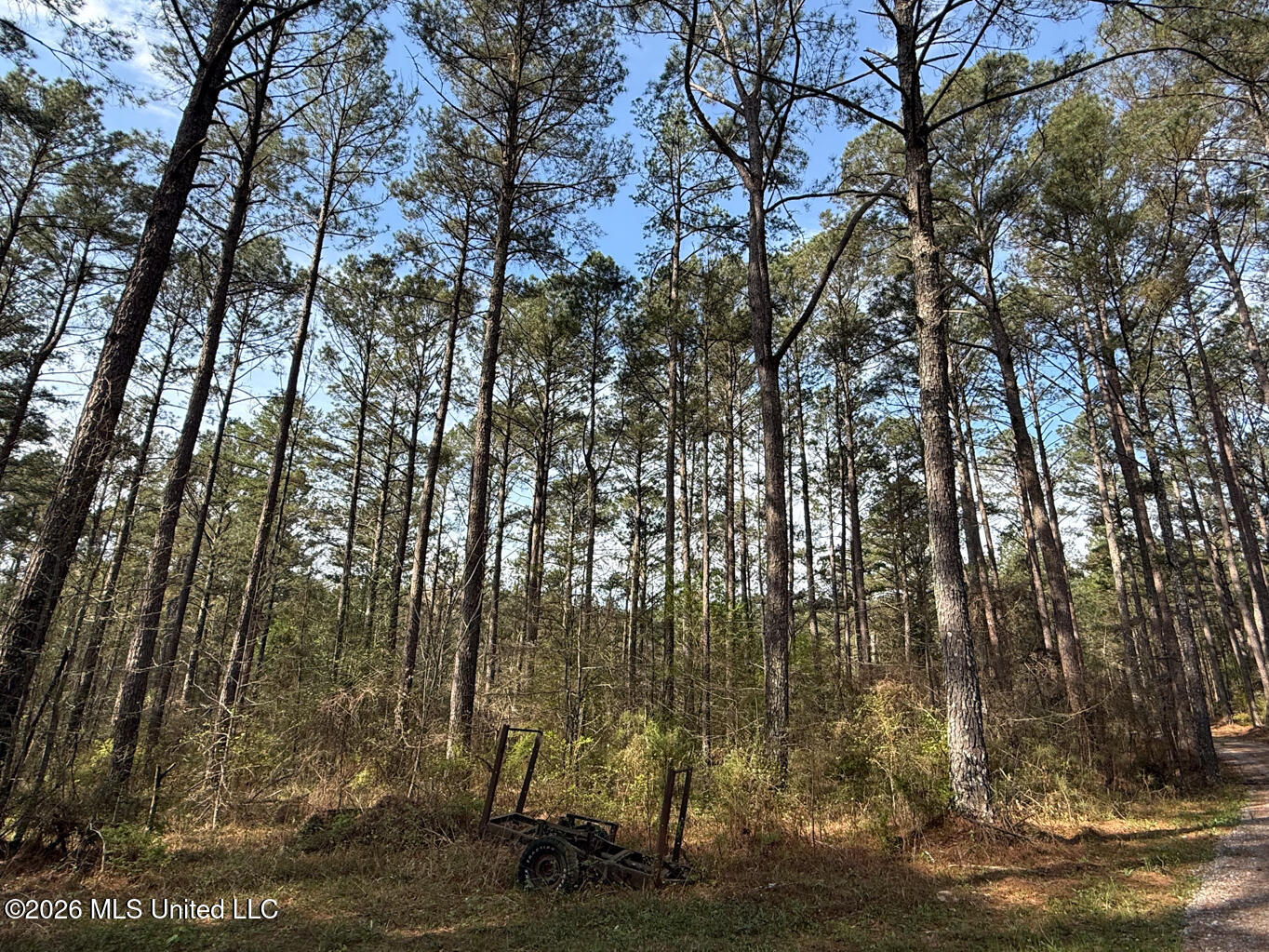 2893 Truesdale Road Carthage, MS 39051 - Photo 6 of 23 Leake 33-28