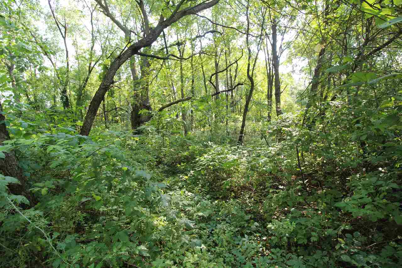 2132 North Nichols Road Flushing, MI 48433 - Photo 32 of 37