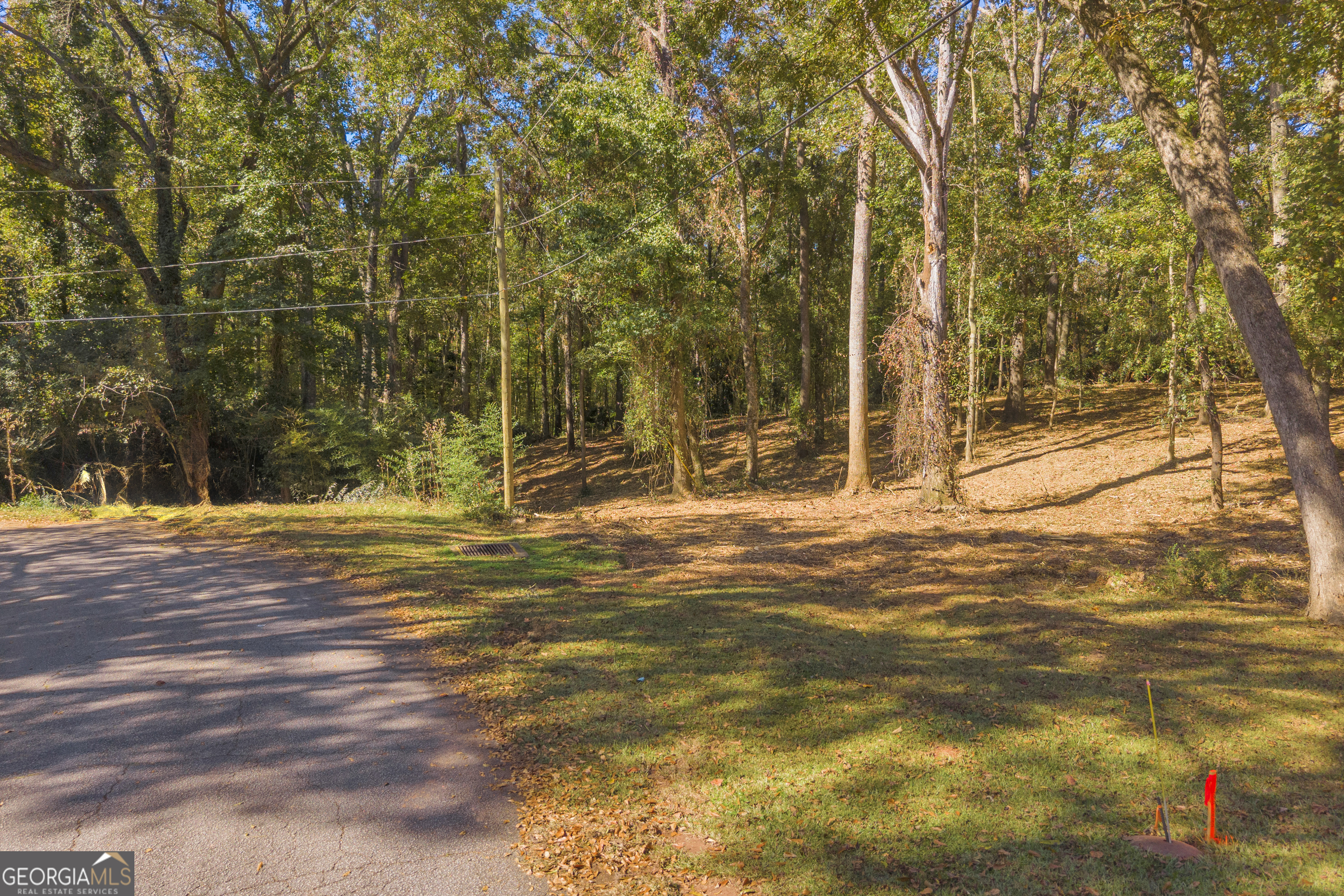 0 Locust Street, Unit LOT 6 Hartwell, GA 30643 - Photo 7 of 25