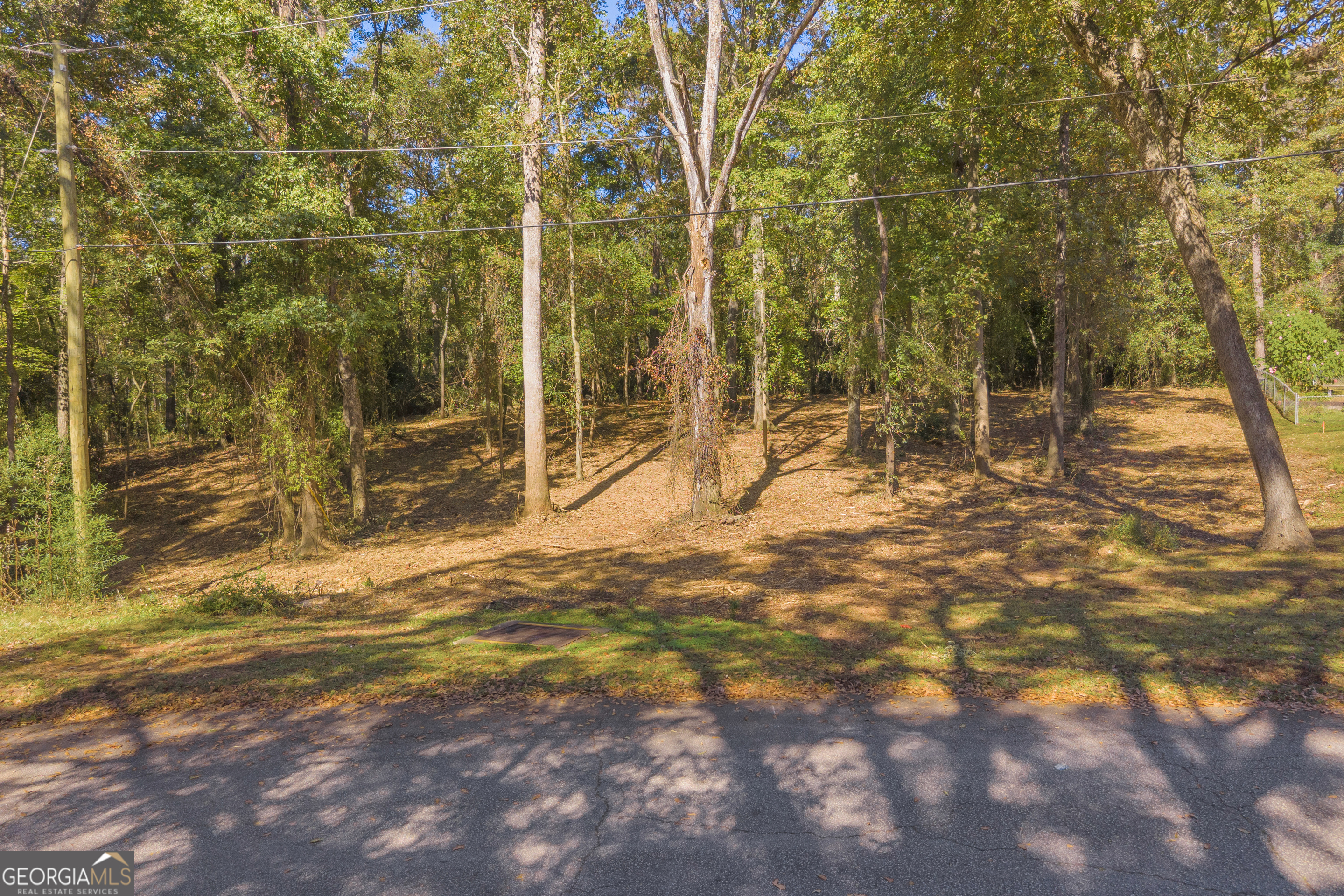 0 Locust Street, Unit LOT 6 Hartwell, GA 30643 - Photo 8 of 25