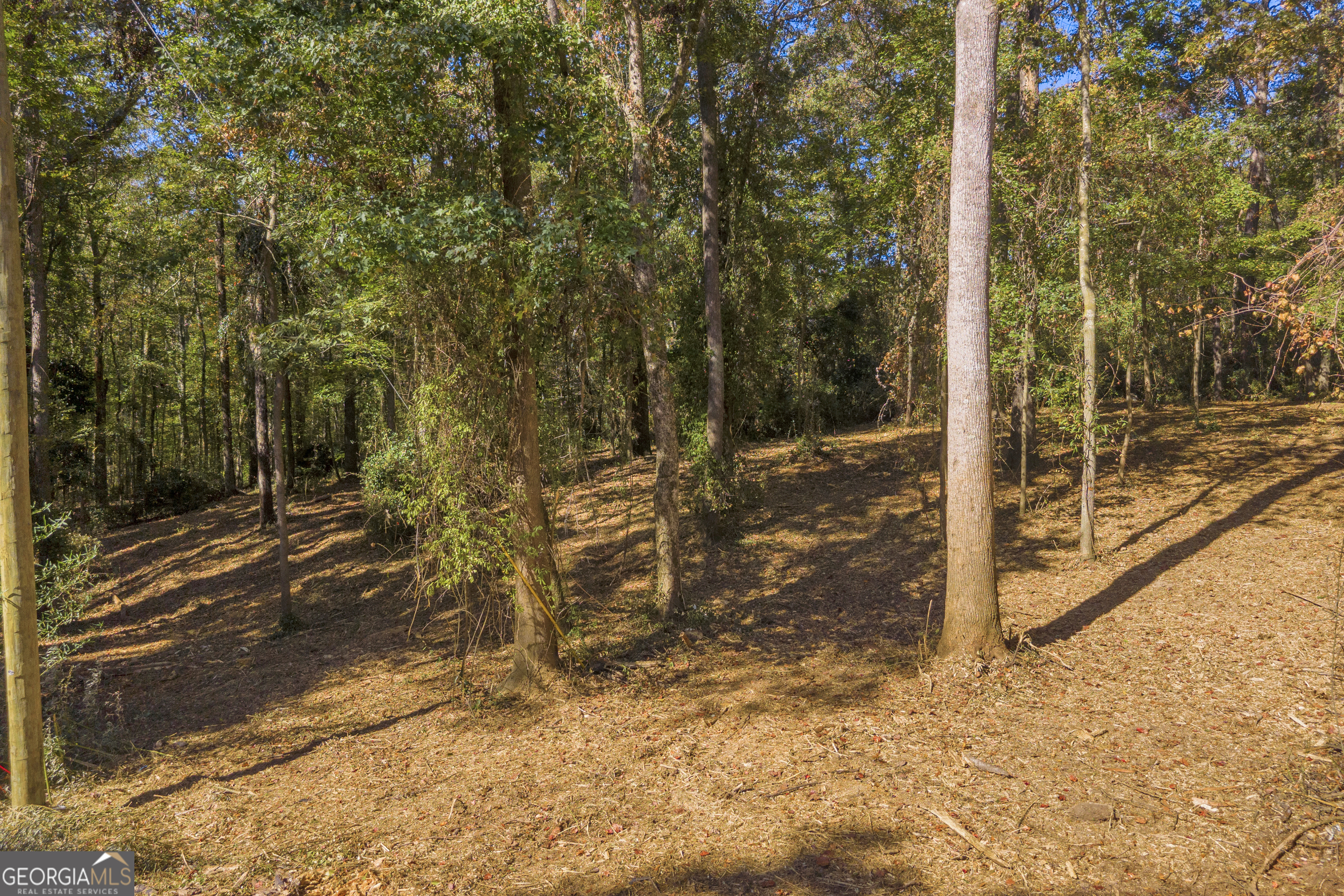 0 Locust Street, Unit LOT 6 Hartwell, GA 30643 - Photo 9 of 25