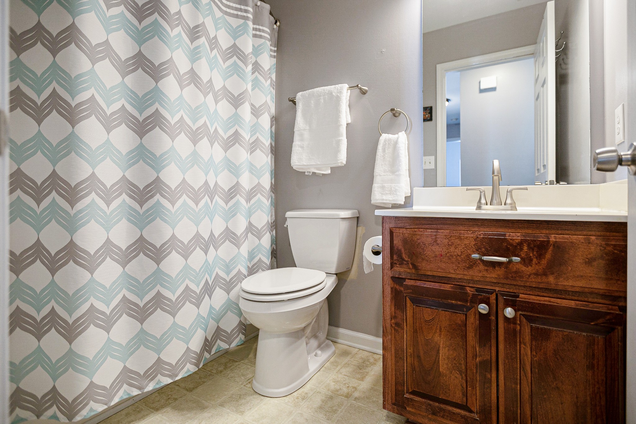 303 Cheairs Court Spring Hill, TN 37174 - Photo 17 of 23 a bathroom with a sink a toilet and shower curtain