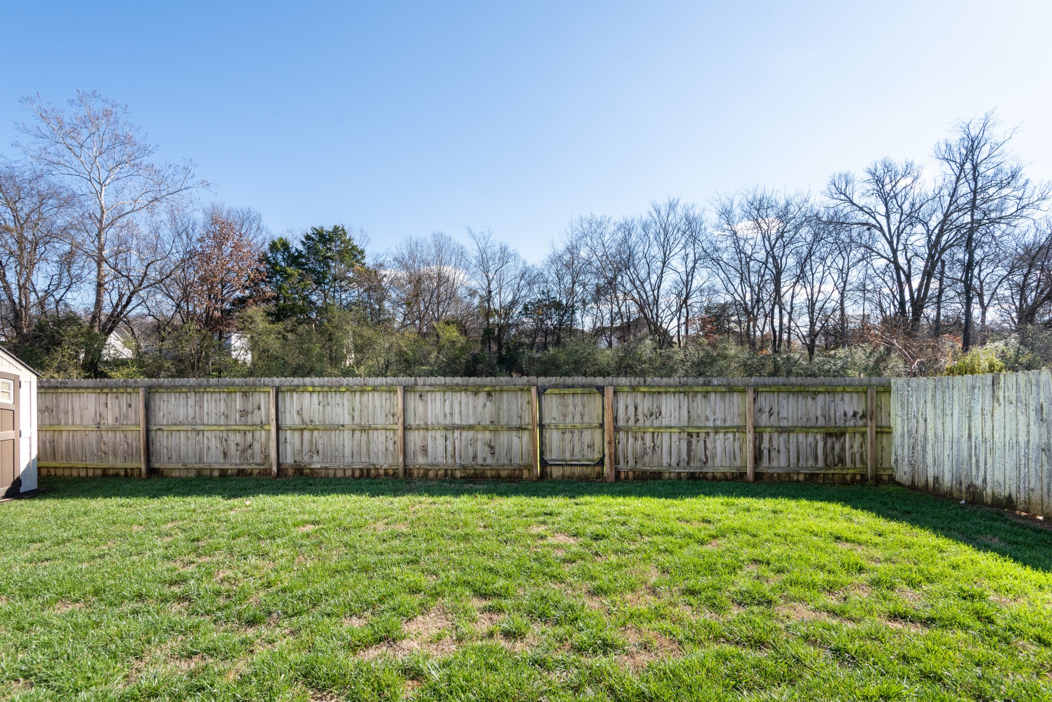 303 Cheairs Court Spring Hill, TN 37174 - Photo 23 of 23