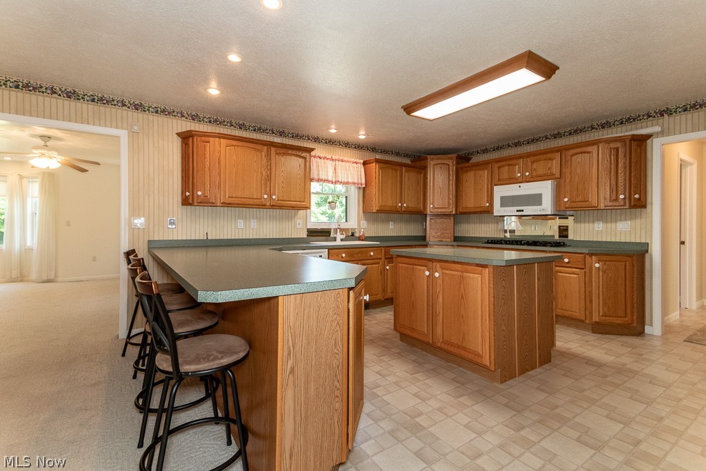 7710 Brakeman Road Painesville, OH 44077 - Photo 6 of 34 Kitchen featuring ceiling fan, stainless steel appliances, sink, light colored carpet, and a breakfast bar